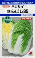 送料無料　[白菜]　きらぼし85　20ml　タキイ種苗(株)