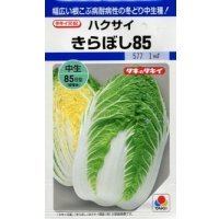 送料無料　[白菜]　きらぼし85　20ml　タキイ種苗(株)