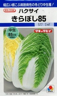 送料無料　[白菜]　きらぼし85　20ml　タキイ種苗(株)