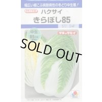 送料無料　[白菜]　きらぼし85　20ml　タキイ種苗(株)