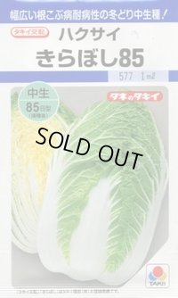[白菜]　きらぼし85　20ｍｌ　タキイ種苗（株）