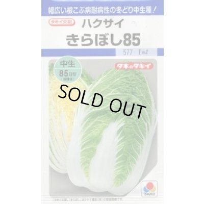 画像1: 送料無料　[白菜]　きらぼし85　20ml　タキイ種苗(株)