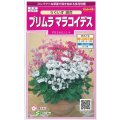 送料無料　花の種　プリムラ　マラコイデス　約215粒　うぐいす混合　実咲350（026157）