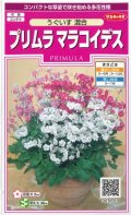 送料無料　花の種　プリムラ　マラコイデス　約215粒　うぐいす混合　実咲350（026157）