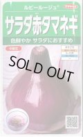 送料無料　[たまねぎ]　サラダ赤タマネギ　ルビールージュ　約330粒　(株)サカタのタネ　実咲350（003059）