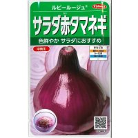 送料無料　[たまねぎ]　サラダ赤タマネギ　ルビールージュ　約330粒　(株)サカタのタネ　実咲350（003059）