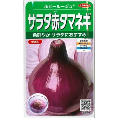 画像1: 送料無料　[たまねぎ]　サラダ赤タマネギ　ルビールージュ　約330粒　(株)サカタのタネ　実咲350（003059）