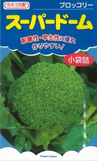 [ブロッコリー] スーパードーム 1.1ml カネコ種苗（株）