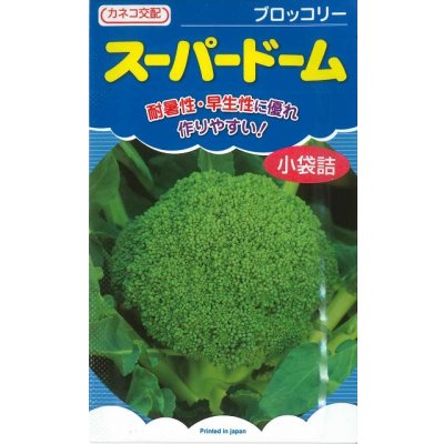 画像1: [ブロッコリー] スーパードーム 1ml カネコ種苗（株）