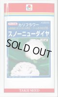 送料無料　[カリフラワー]　スノーニューダイヤ　20ml　タキイ種苗(株)