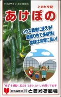 送料無料　[キュウリ]　あけぼの　20粒　(株)ときわ研究場