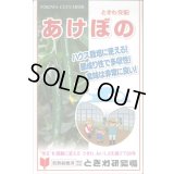 送料無料　[キュウリ]　あけぼの　20粒　(株)ときわ研究場