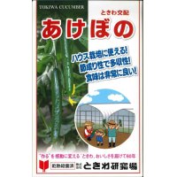 [キュウリ]　あけぼの　20粒　（株）ときわ研究場