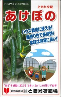 [キュウリ]　あけぼの　20粒　（株）ときわ研究場