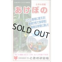 送料無料　[キュウリ]　あけぼの　20粒　(株)ときわ研究場