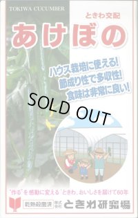 送料無料　[キュウリ]　あけぼの　20粒　(株)ときわ研究場