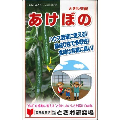 画像1: [キュウリ]　あけぼの　20粒　（株）ときわ研究場