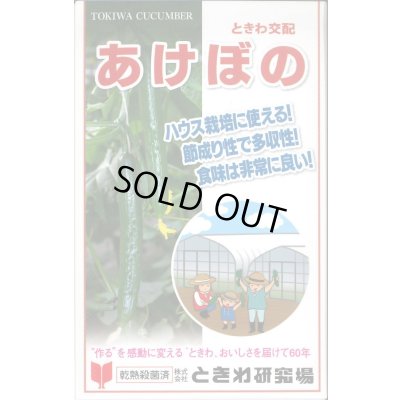 画像1: 送料無料　[キュウリ]　あけぼの　20粒　(株)ときわ研究場