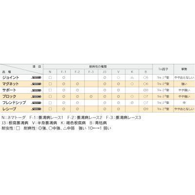 画像2: [台木/トマト用]　送料無料！　ブロック　1000粒　サカタ交配