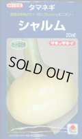 送料無料　[たまねぎ]　シャルム　20ml　タキイ種苗(株)