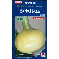 送料無料 [たまねぎ] シャルム 20ml タキイ種苗(株)