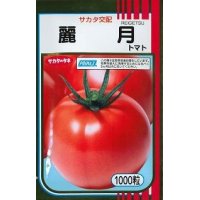 [トマト]　送料無料！　麗月　1000粒　サカタ交配