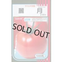 送料無料　[トマト]　麗月　1000粒　(株)サカタのタネ