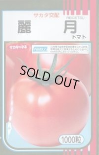送料無料　[トマト]　麗月　1000粒　(株)サカタのタネ