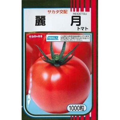 画像1: [トマト]　送料無料！　麗月　1000粒　サカタ交配