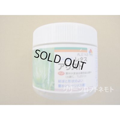 画像1: 送料無料　[レタス]　アリスト　ペレット種子　　5000粒　タキイ種苗(株)
