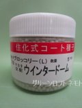 送料無料　[ブロッコリー]　ウインタードーム　コート5000粒　(株)サカタのタネ