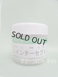 [レタス] インターセプト ペレット種子 5000粒 （株）サカタのタネ