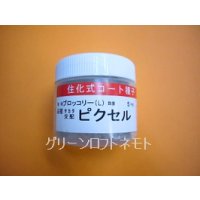 送料無料　[ブロッコリー]　ピクセル　コート5000粒　(株)サカタのタネ