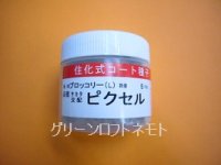 送料無料　[ブロッコリー]　ピクセル　コート5000粒　(株)サカタのタネ