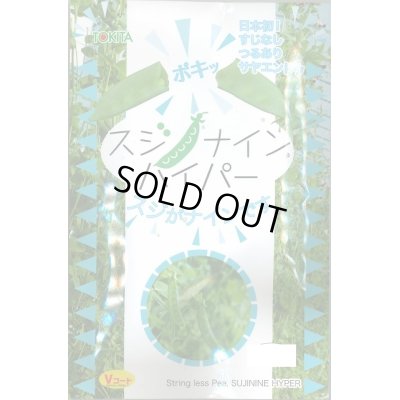 画像1: [えんどう]　サヤエンドウ　スジナインハイパー　200粒　トキタ種苗（株）