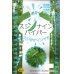 画像1: [えんどう]　サヤエンドウ　スジナインハイパー　20ｍｌ　トキタ種苗（株） (1)