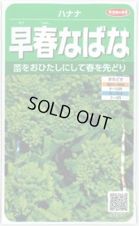 [その他]　早春なばな　約850粒　サカタ交配