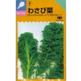 送料無料　[葉物]　わさび菜　6ml(およそ2600粒)　中原採種場(株)