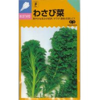 [葉物]　わさび菜　20ｍｌ　中原採種場（株）