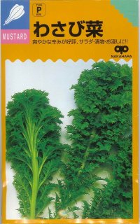 [葉物]　わさび菜　6ml（およそ2600粒）　中原採種場（株）