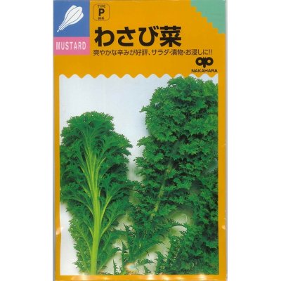 画像1: [葉物]　わさび菜　20ｍｌ　中原採種場（株）