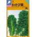 画像1: [葉物]　わさび菜　6ml（およそ2600粒）　中原採種場（株） (1)