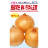 送料無料　[たまねぎ]　超極早生　春いちばん玉葱　3ml　松永種苗(株)