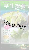 送料無料　[葉物]　早生祝蕾　コート種子　30粒　(株)大和農園