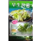 送料無料　[葉物]　早生祝蕾　コート種子　30粒　（株）大和農園