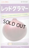 送料無料　[たまねぎ]　レッドグラマー　20ml　カネコ育成