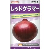 送料無料　[たまねぎ]　レッドグラマー（PVP)　　20ml　カネコ種苗（株）