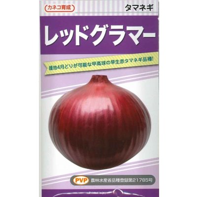 画像1: 送料無料　[たまねぎ]　レッドグラマー（PVP)　　20ml　カネコ種苗（株）