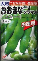 送料無料　[そら豆]　千倉一寸　1dl　渡辺農事（株）