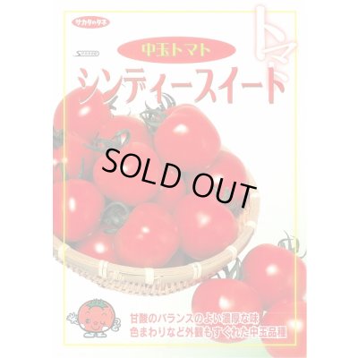 画像2: 送料無料　[トマト/中玉トマト]　シンディースイート　約21粒　（株）サカタのタネ 実咲550（002816）